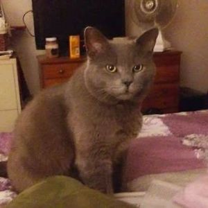 Meet your Posher, Paula